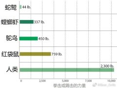 世界动物之最（动物界最强的十大排名）