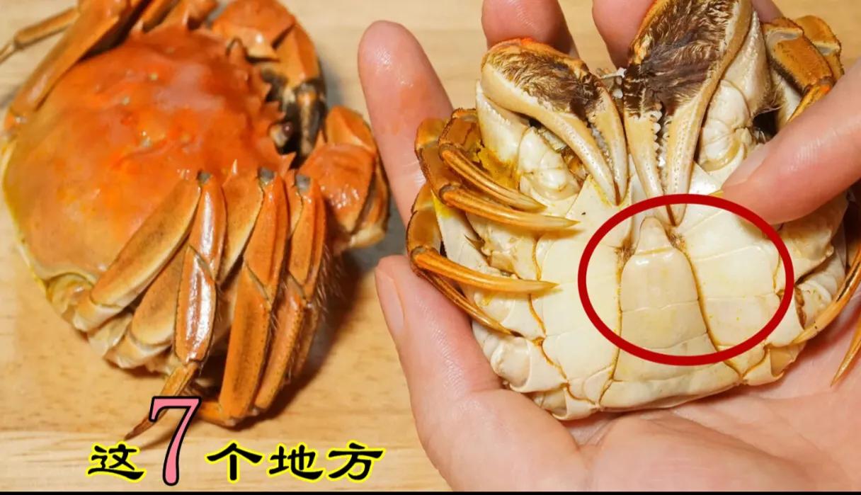 螃蟹的这七个地方不能吃，又脏又苦，都是细菌