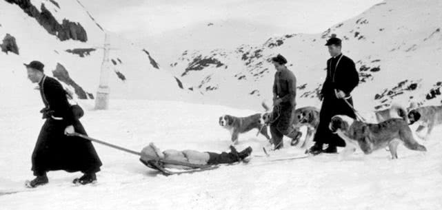 《野性的呼唤》中的巴克是什么狗？藏獒后代，出色的雪地搜救犬