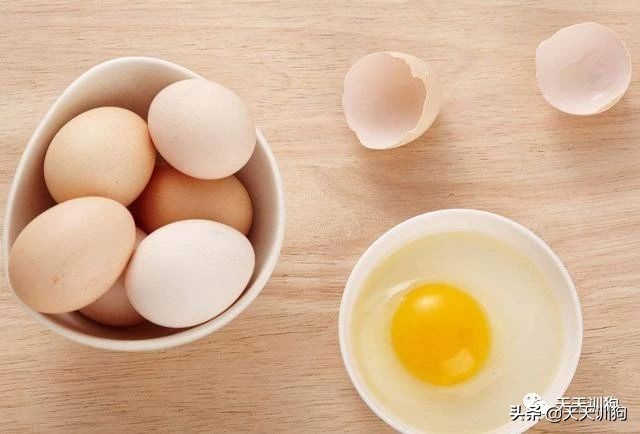 狗狗为什么只能吃蛋黄不能吃蛋白？