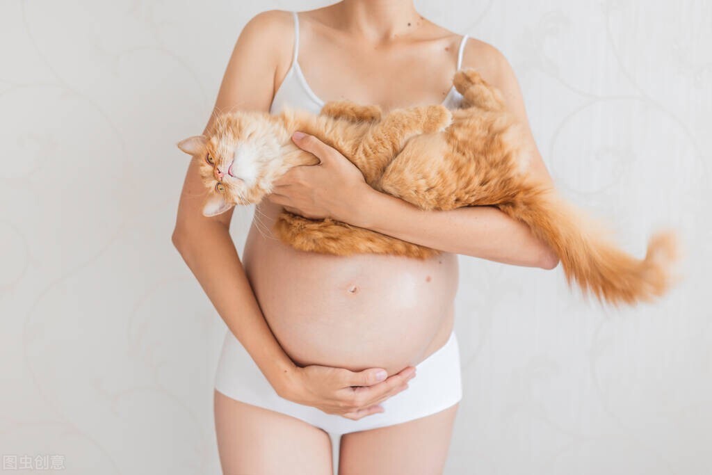 孕妇千万不要养猫！后果居然这么严重…