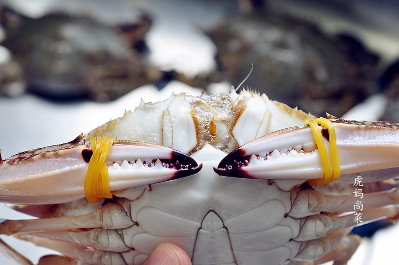 新手3分钟学会挑蟹攻略，做蟹与吃蟹技巧，知道寒性大的部位在哪
