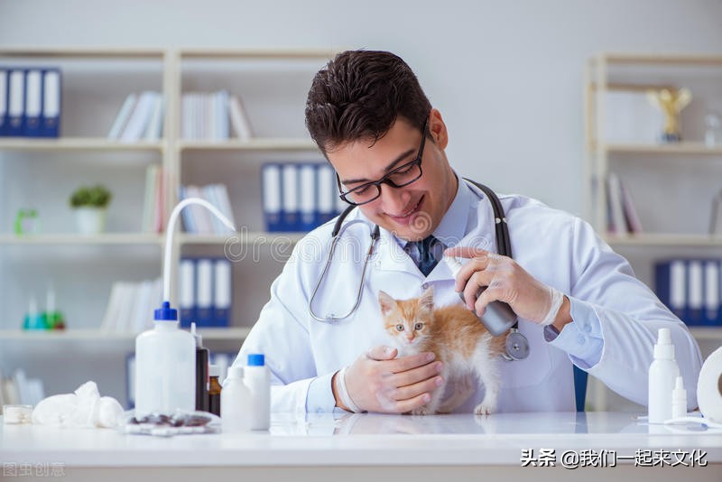 当宠物医生高考报考什么专业，这个专业的名称为动物医学专业