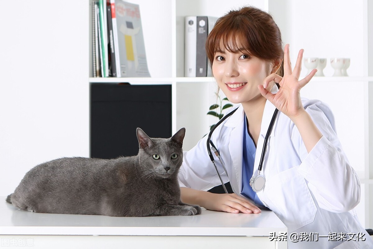 当宠物医生高考报考什么专业，这个专业的名称为动物医学专业